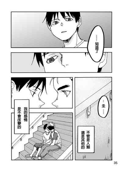 第32頁圖