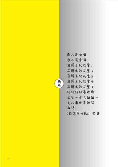 第4页图