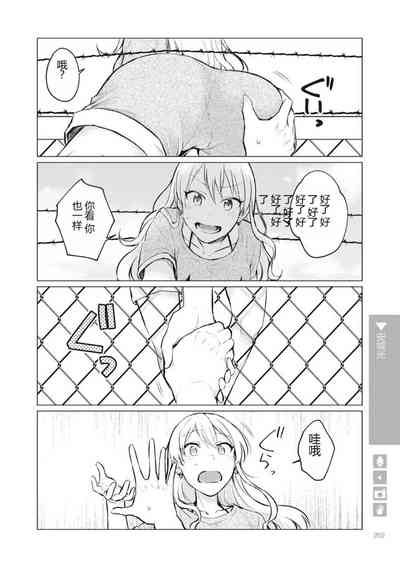 第204页图