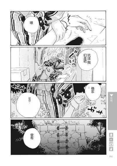第252页图