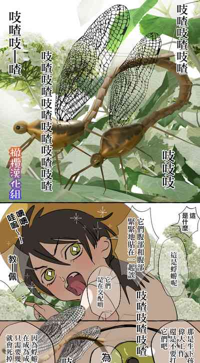 第12頁圖