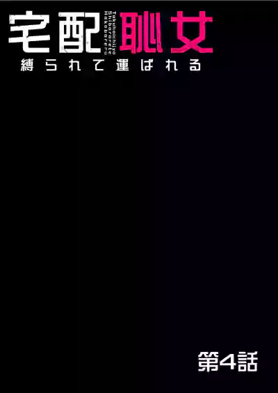 第100頁圖