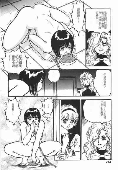 第176頁圖