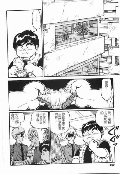 第264頁圖