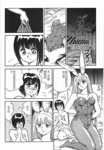 第284頁圖