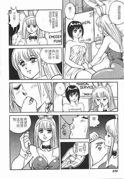第288頁圖