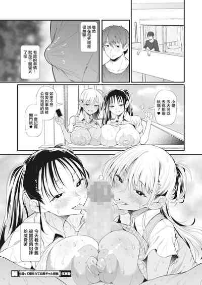 第28頁圖