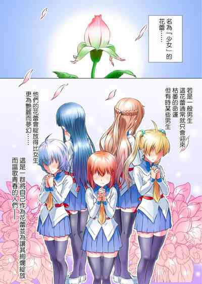 第4頁圖