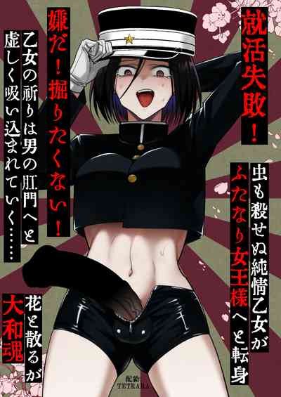 第24頁圖