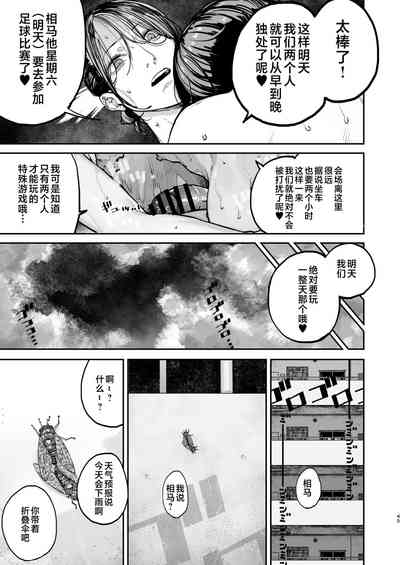 第44页图