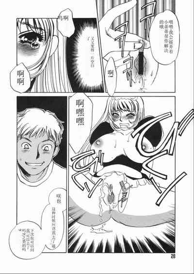 第28頁圖