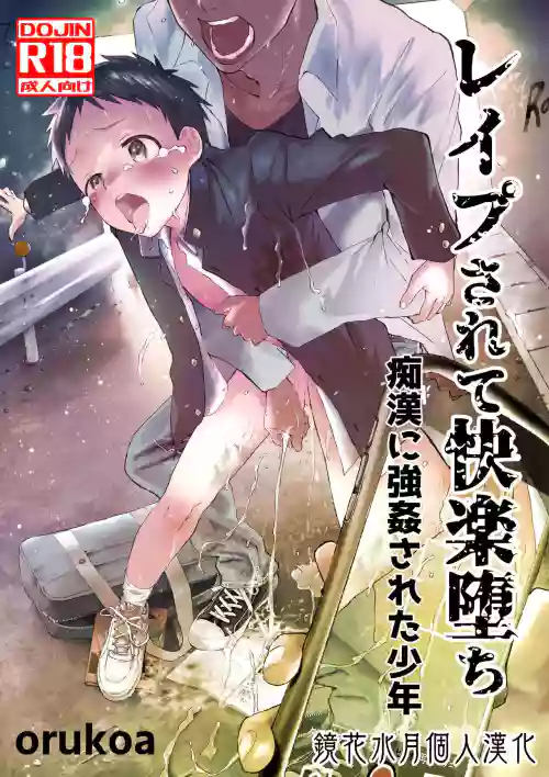 被痴汉强奸后堕入快乐深渊的少年 封面 - HaSM.cc
