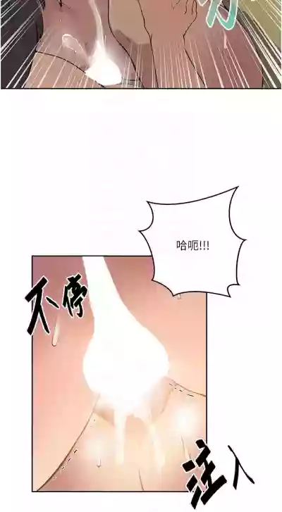 第164頁圖