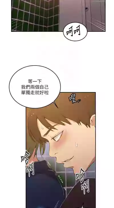 第240頁圖