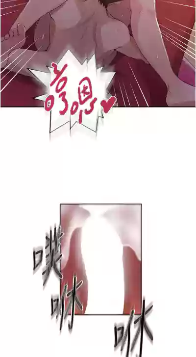 第368頁圖