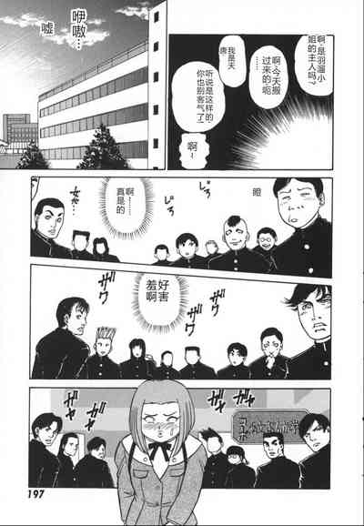 第204頁圖