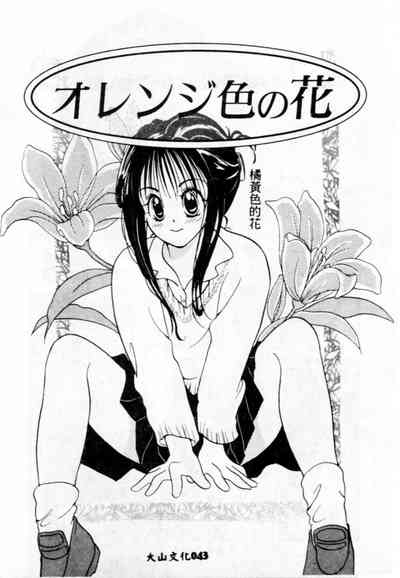 第44頁圖