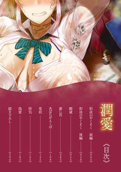 第4页图