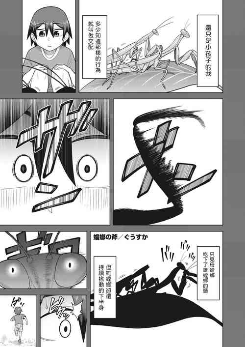 蟷螂の斧圖