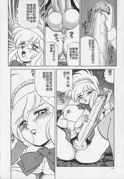 第212页图