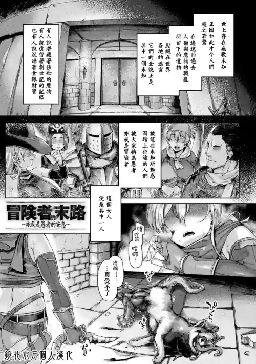 冒險者的末路 封面 - HaSM.cc