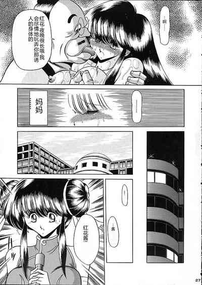 第24页图