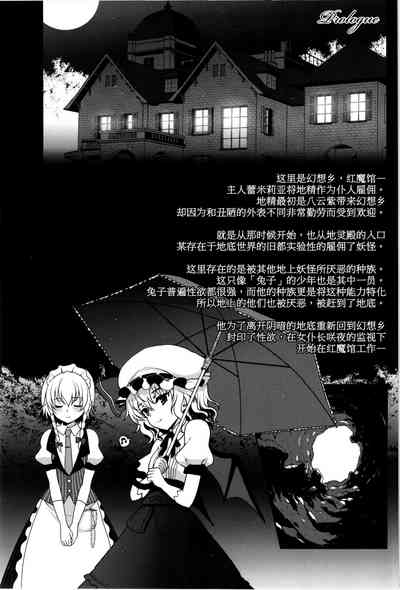 第4页图
