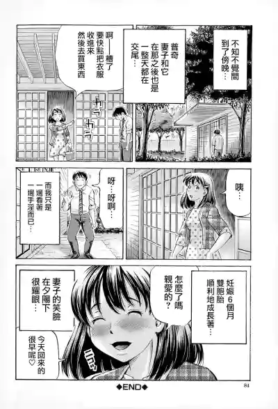 第84页图