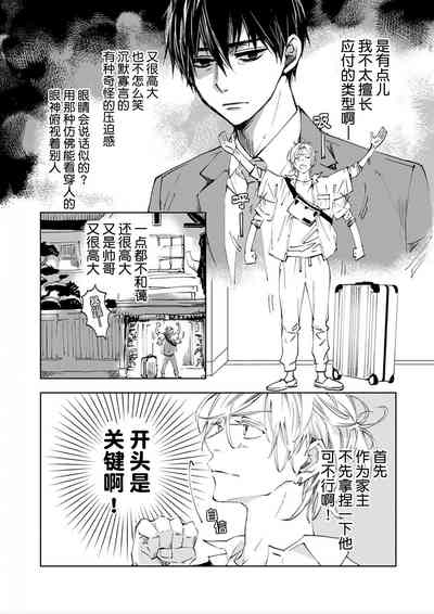 第8页图