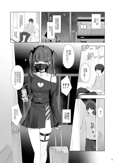第4页图