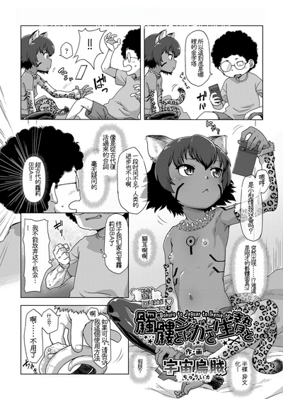 第4页图