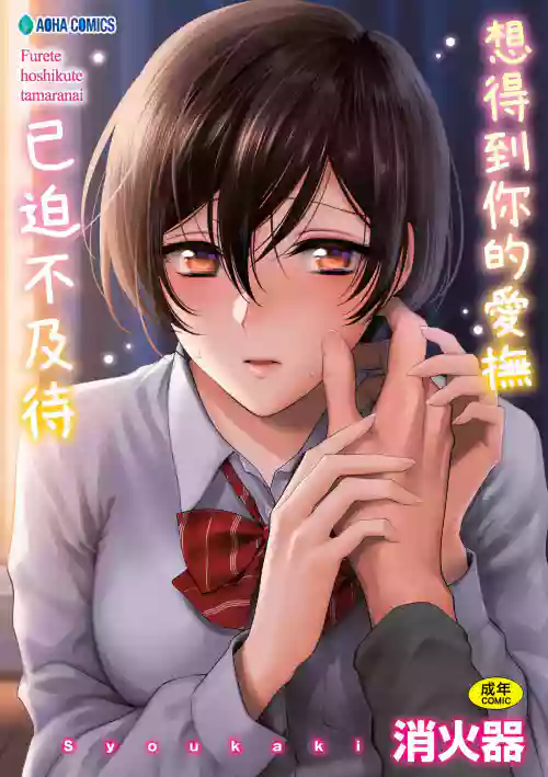 Furete Hoshikute Tamaranai | 想得到你的愛撫 已迫不及待圖