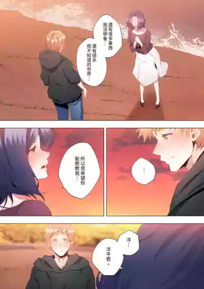 第376頁圖