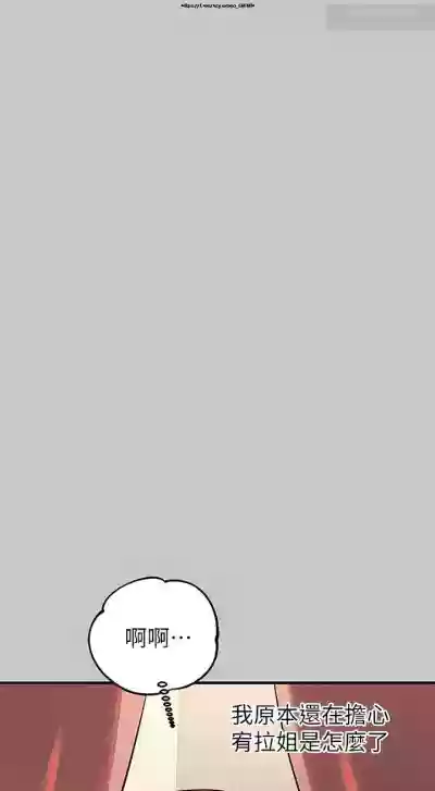 第424页图