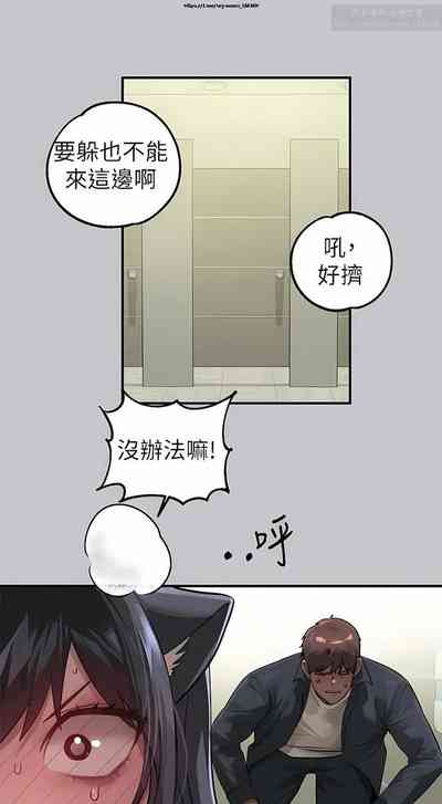 第488页图