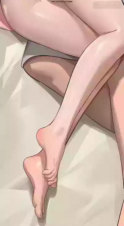 第288頁圖