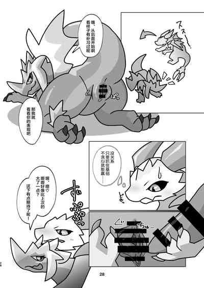 第28頁圖