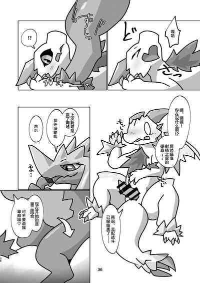 第36頁圖