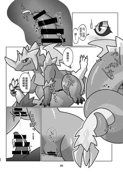 第40頁圖