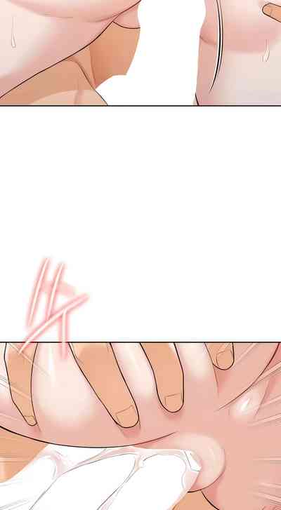 第504頁圖