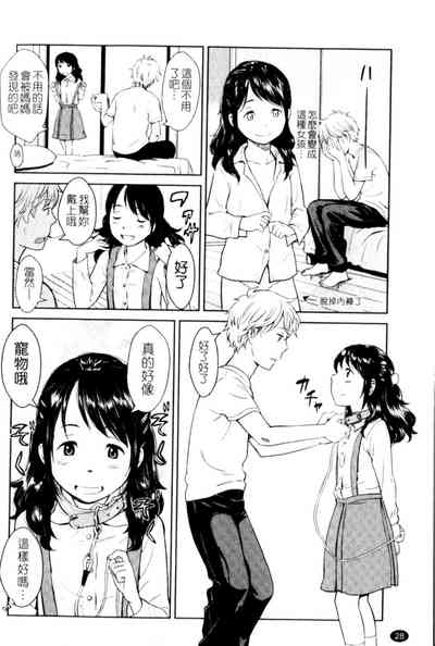 第28頁圖