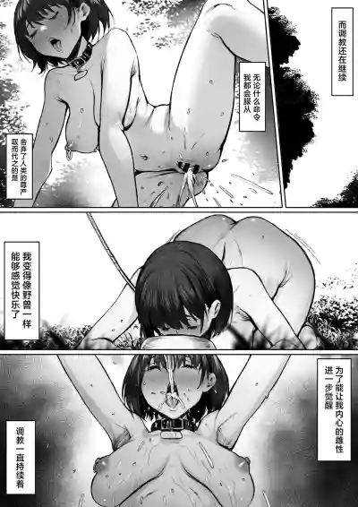 第56頁圖