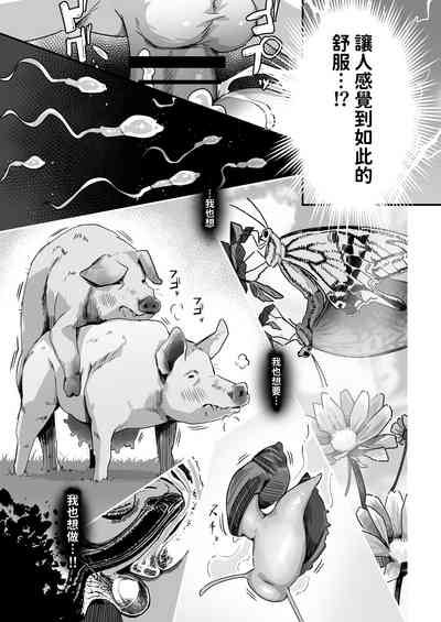 第24頁圖