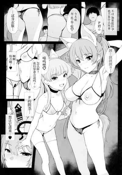 第20页图