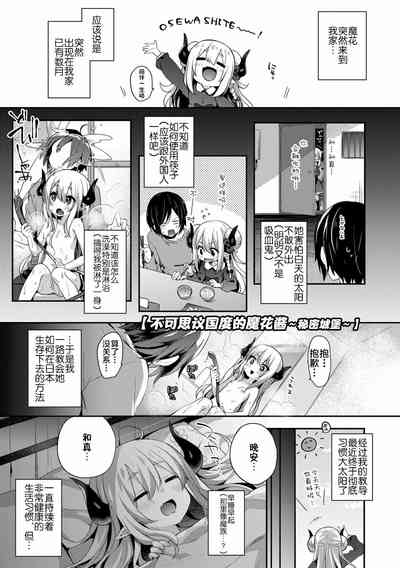 第28頁圖