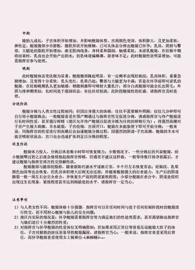 第204頁圖