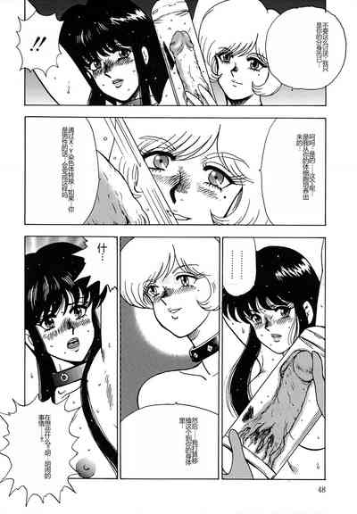 第48頁圖