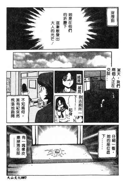 第88页图