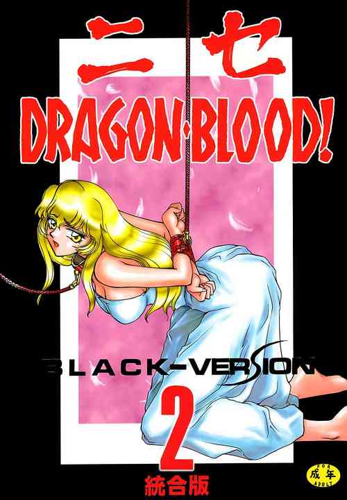 ニセ DRAGON・BLOOD! 2.图