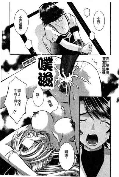 第24頁圖